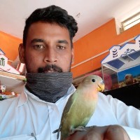 Shiva Kumar S Kolappan
