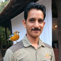 Ajay Singh Rathore