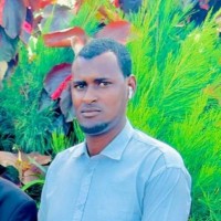 Abdifatah Adam Mohamud