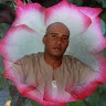 Ali Yones