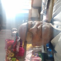 Purusottamkumar Kumar