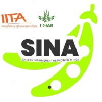Iita Soybean