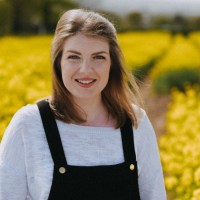 Rose Harvey