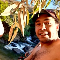 Heron Silva