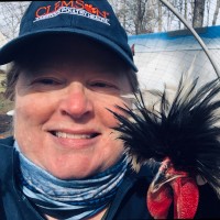 Julie Helm, DVM, dACPV