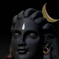 Nigam Pal