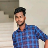 Pandiselvam V