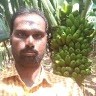 krishnareddy reddy