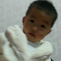 李启庭
