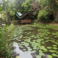 shahidul islamchowdhury