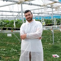 Khaled Moubarak