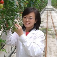 Xiaoli Chang