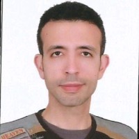 walid saleh