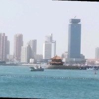 王文科