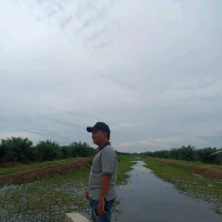 Fransiswa Ginting