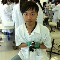 Reno Zhang