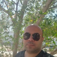 Fawzy Abd Elhamid