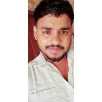 Milan Pal