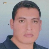 Mohamed Mohsen