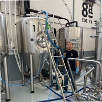 Luis Henrique Poleto Angeloni