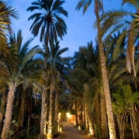 Takrouni Mohamed Ali