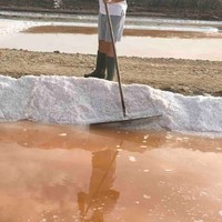 San Vicente Saltworks