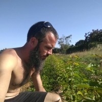 Florent Dupont 🌱🌳