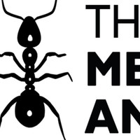 Media Ant