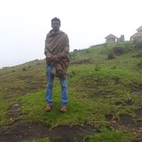 Salmanulfaris P