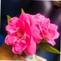 Bharathi M