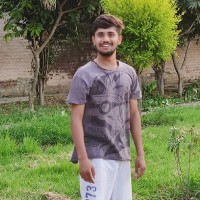 Kashish Rohilla