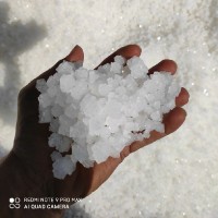 Zala Manharsinh