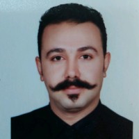 hesam fallah