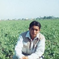 Francisco Galindo Campillo