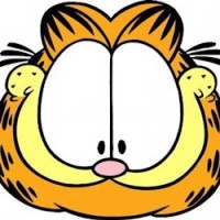Garfield Cat
