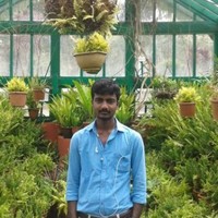 Gowtham K