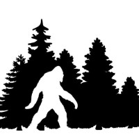 Bigfoot Drywall