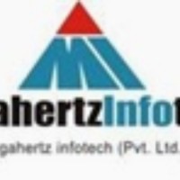 Megahertz Infotech