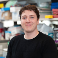 Mickael MATHIEU, PhD