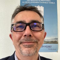 Dominique Abbes