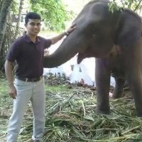 Mahesh Chamin