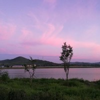 李万青