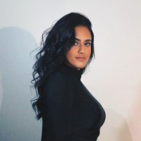 Dina Wessam