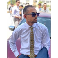 Ali Elgendy