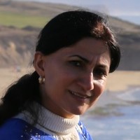 Fariba Roozbehi