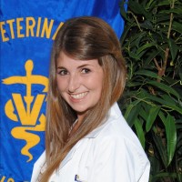 Mackenzie Ruehl Cardone