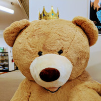 Data Bear