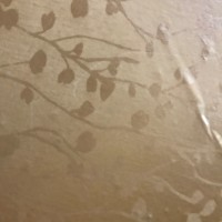 罗展彪