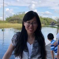 Ying Li