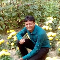 Md Ariful Islam